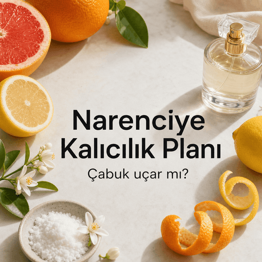 Narenciye çabuk uçar mı? kalıcılık planı