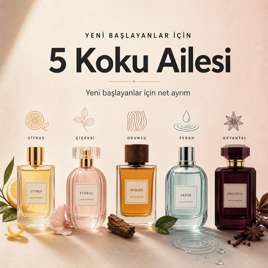 Yeni başlayanlar için 5 koku ailesi: net ayrım