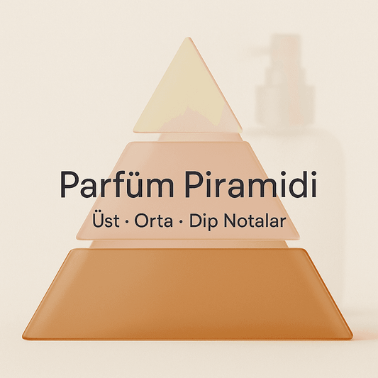 Parfüm Piramidini Anlama Rehberi ile Üst Orta ve Dip Notalar