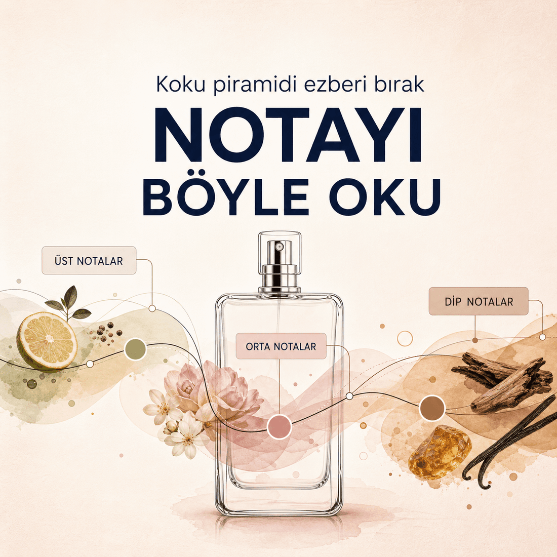 Koku piramidi ezberi bırak: notayı böyle oku