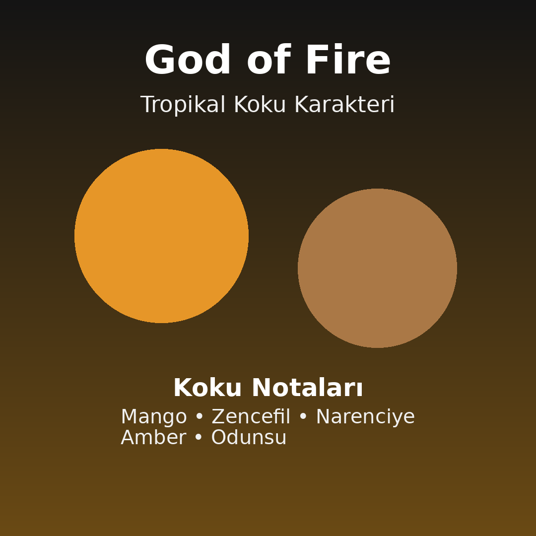 God of Fire Nasıl Bir Koku? Tropikal Karakteri Sevenler İçin Alternatif ve Muadil Parfüm Rehberi